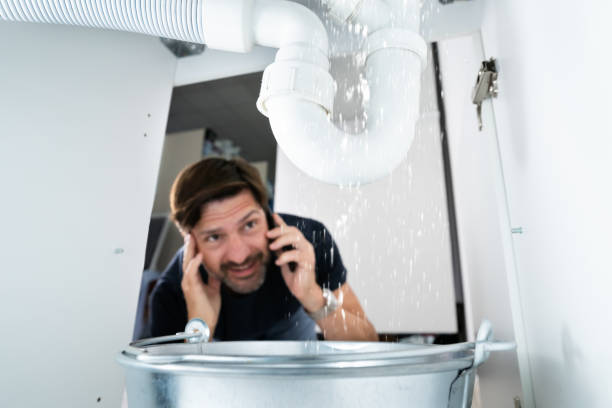 Best Toilet Repair Services  in Ferron, UT