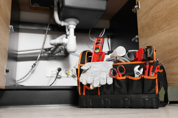 Best Clogged Drain Plumber  in Ferron, UT