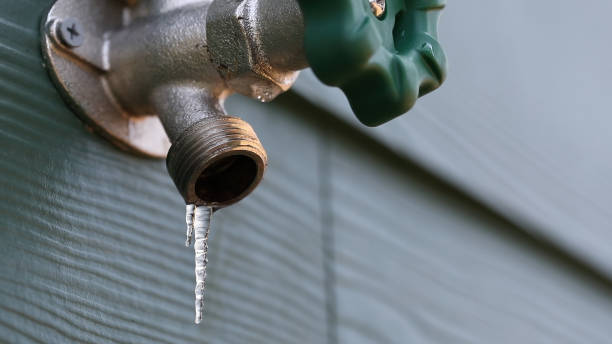 Best Local Plumber Services  in Ferron, UT